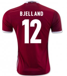 2016 Euro Denmark Home BJELLAND #12 Soccer Jersey