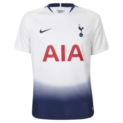2018-19 Tottenham Hotspur Home Soccer Jersey Shirt Player Version
