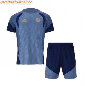 2026-27 Bayern Munich Grey Training Kits Shirt with Shorts