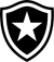 Botafogo de Futebol e Regatas