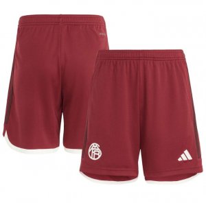 2023-24 Bayern Munich Third Away Soccer Shorts