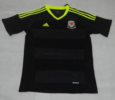 2016 Euro Wales Away Soccer Jersey