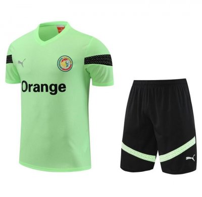 2022 FIFA World Cup Senegal Light Green Training Kits Shirt with Shorts