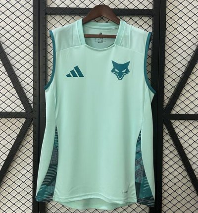 2025-26 Cruzeiro Light Green Training Vest Shirt