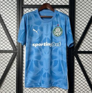 2025-26 Palmeiras Blue Goalkeeper Soccer Jersey Shirt