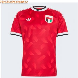 2026 FIFA World Cup United Arab Emirates Away Soccer Jersey Shirt
