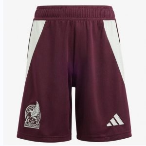 2024 Copa America Mexico Home Soccer Shorts