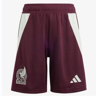2024 Copa America Mexico Home Soccer Shorts