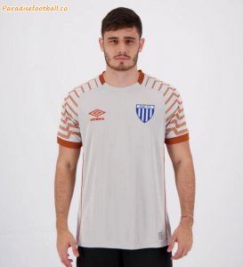 2021-22 Avaí FC Goalkeeper Grey Soccer Jersey Shirt