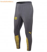 2021-22 Dortmund Grey Training Pants