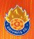 Saiyans FC