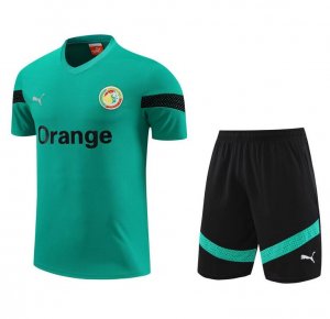 2022 FIFA World Cup Senegal Green Training Kits Shirt with Shorts