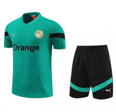 2022 FIFA World Cup Senegal Green Training Kits Shirt with Shorts