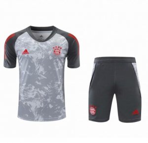 2020-21 Bayern Munich Grey Training Kits Shirt with Shorts
