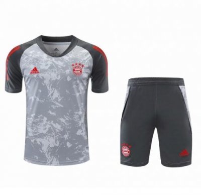 2020-21 Bayern Munich Grey Training Kits Shirt with Shorts
