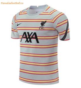 2021-22 Liverpool Grey Stripe Training Shirt