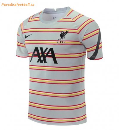 2021-22 Liverpool Grey Stripe Training Shirt