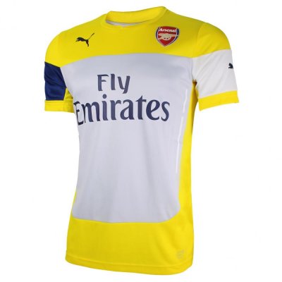 Arsenal 14/15 Training Suit Yellow