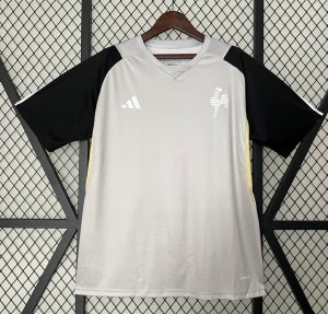 2024-25 Atletico Mineiro Grey Training Shirt
