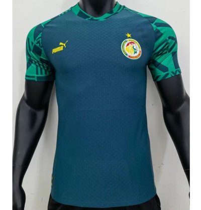 2022 FIFA World Cup Senegal Green Training Shirt Player Version