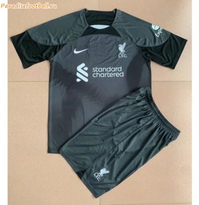 Kids 2022-23 Liverpool Black Goalkeeper Soccer Kits Shirt With Shorts
