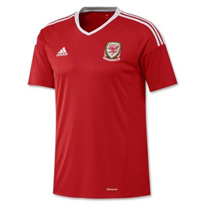 2016 Euro Wales Home Soccer Jersey