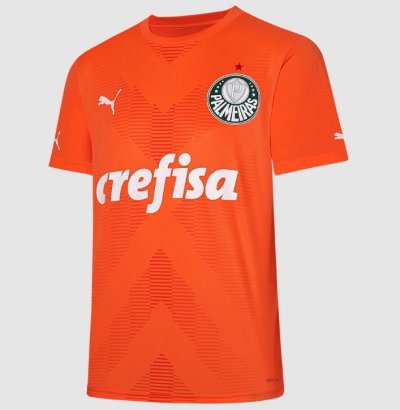2023-24 Palmeiras Orange Goalkeeper Soccer Jersey Shirt