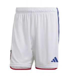 2022 FIFA World Cup Japan Home Soccer Shorts