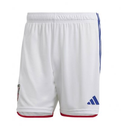 2022 FIFA World Cup Japan Home Soccer Shorts