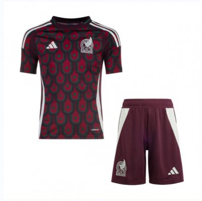 2024 Copa America Mexico Kids Home Soccer Kits Shirt with Shorts