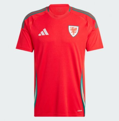 2024 Euro Cup Wales Home Soccer Jersey Shirt