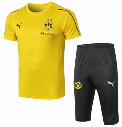 2018-19 Borussia Dortmund Yellow Short Sleeve Training Kits