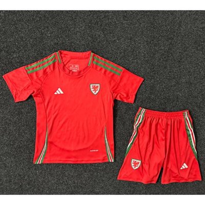 2024 Euro Cup Wales Kids Home Soccer Kits Shirt With Shorts