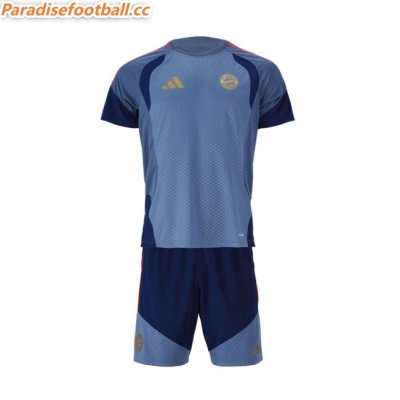 2026-27 Bayern Munich Grey Kids Training Kits Shirt With Shorts