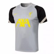2021-22 Liverpool Light Grey Training Shirt