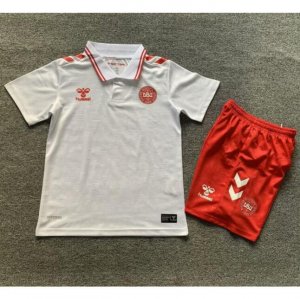 2024 Euro Cup Denmark Kids Away Soccer Kits Shirt With Shorts