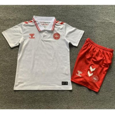 2024 Euro Cup Denmark Kids Away Soccer Kits Shirt With Shorts