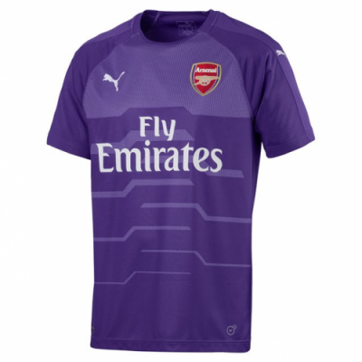 2018-19 Arsenal Purple Goalkeeper Soccer Jersey Shirt
