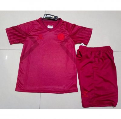 Kids 2022 FIFA World Cup Denmark Home Soccer Kits Shirt With Shorts